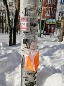 Контрольный пункт под номером 36