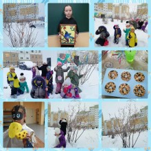 Покормите птиц зимой 2