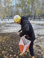 В ритме жизни 7