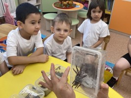 Исследуем изучаем 3