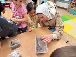 Исследуем изучаем 5