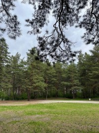 Подготовка спортсменов 2