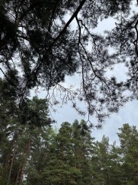 Подготовка спортсменов 4