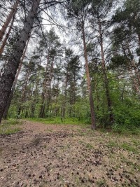 Подготовка спортсменов 5