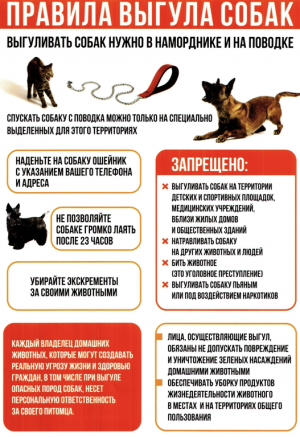 Правила выгула собак
