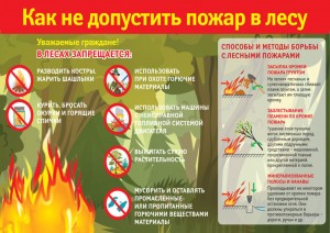 Профилактика пожара в лесу