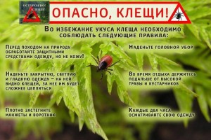 опасность клещи 1
