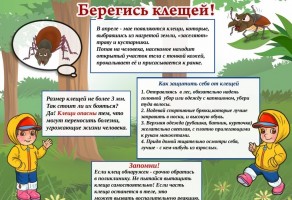 опасность клещи 2